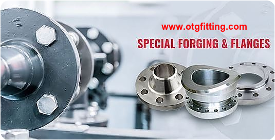 Stainless Steel Flanges Supplier-www.otgfitting.com